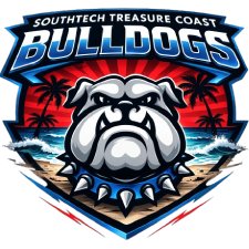 First version of the STTC logo.