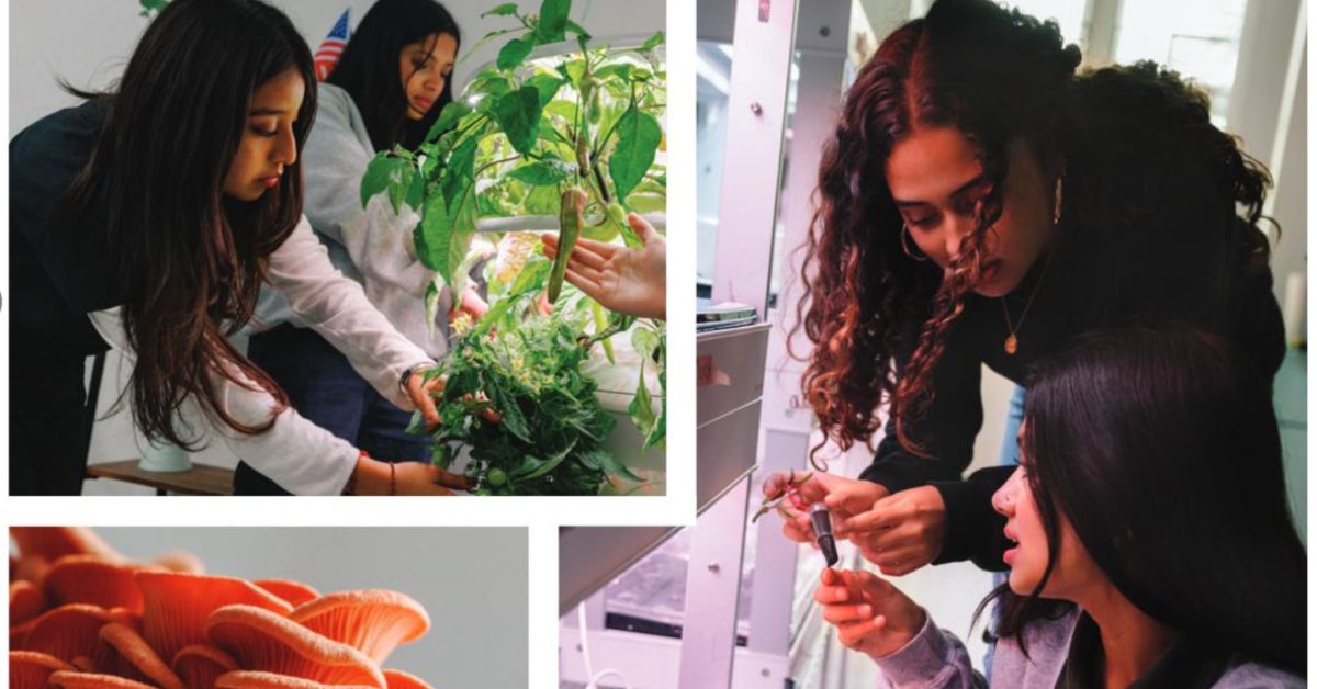 FL Farm and Family Fall 2025 Magazine Agritech Blooms with Possibilities